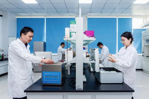 漯河食品工程職業(yè)大學(xué)獲批，中國(guó)食品名城迎來(lái)本科教育新突破與技術(shù)開發(fā)新機(jī)遇