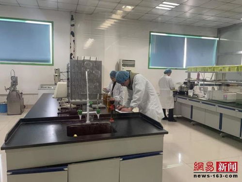 三劍客科技 向新挖潛，展翅騰飛